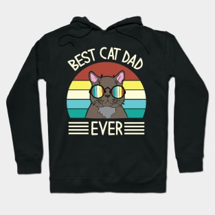 Vintage Cat Happy Father Day Best Cat Dad Ever Daddy Papa Hoodie